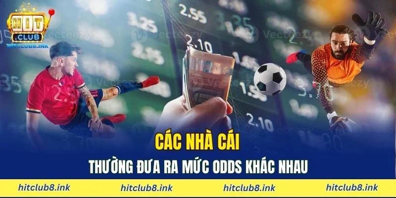 Các nhà cái thường đưa ra mức odds khác nhau