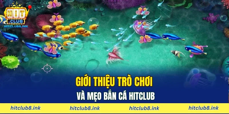 Giới thiệu trò chơi và mẹo bắn cá Hitclub