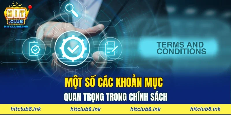 Một số các khoản mục quan trọng trong chính sách