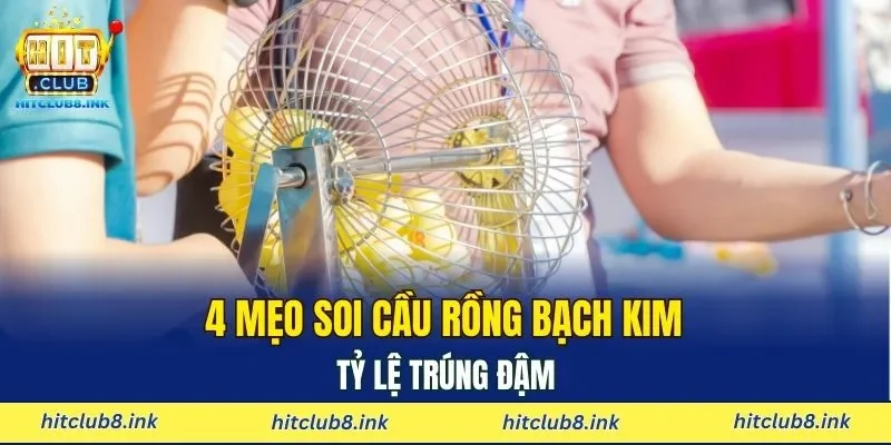 4 mẹo soi cầu rồng bạch kim tỷ lệ trúng đậm