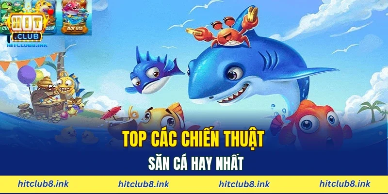 Top các chiến thuật săn cá hay nhất